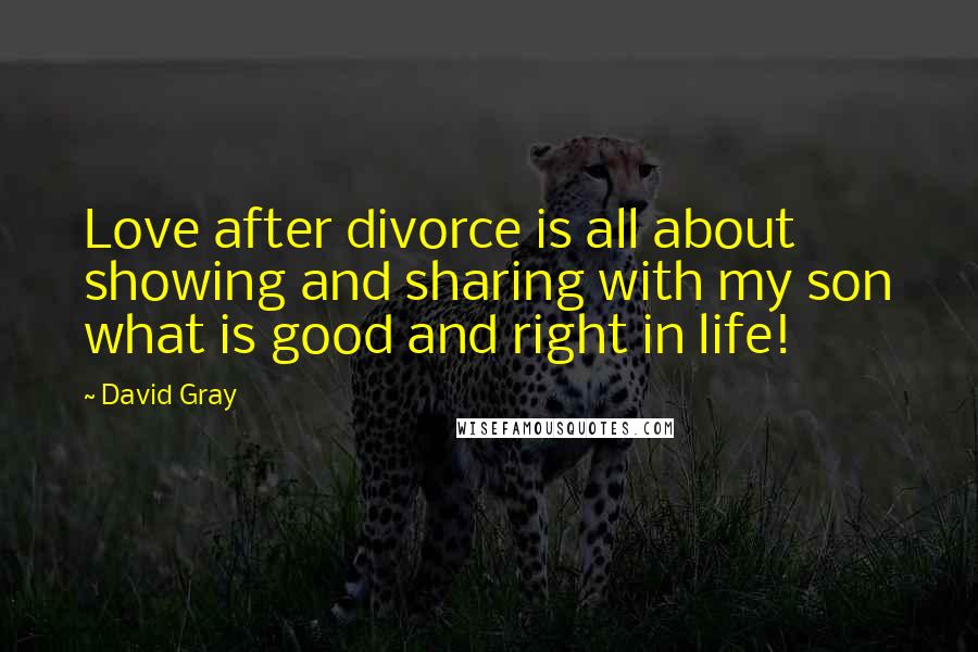 David Gray quotes: Love after divorce is all about showing and sharing with my son what is good and right in life!