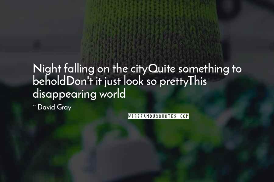 David Gray quotes: Night falling on the cityQuite something to beholdDon't it just look so prettyThis disappearing world