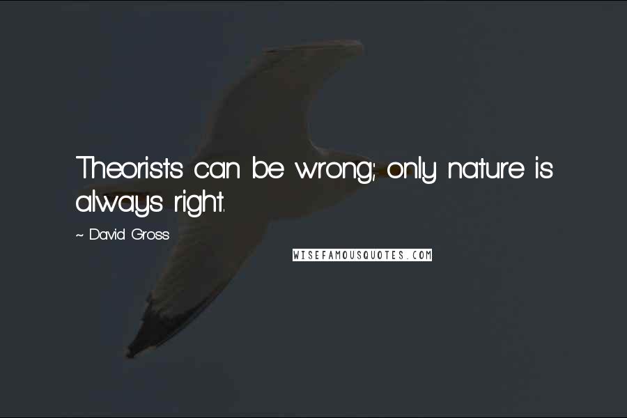David Gross quotes: Theorists can be wrong; only nature is always right.