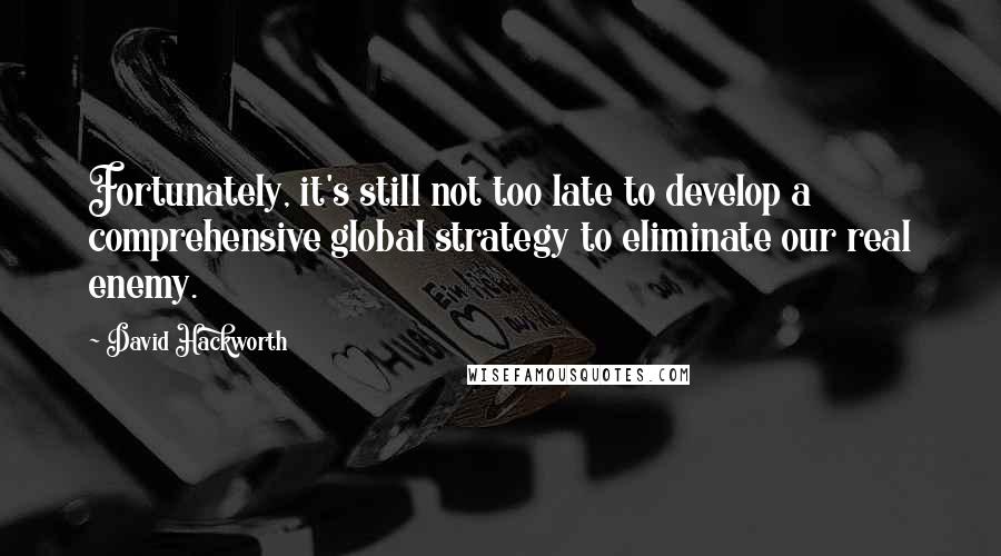 David Hackworth quotes: Fortunately, it's still not too late to develop a comprehensive global strategy to eliminate our real enemy.