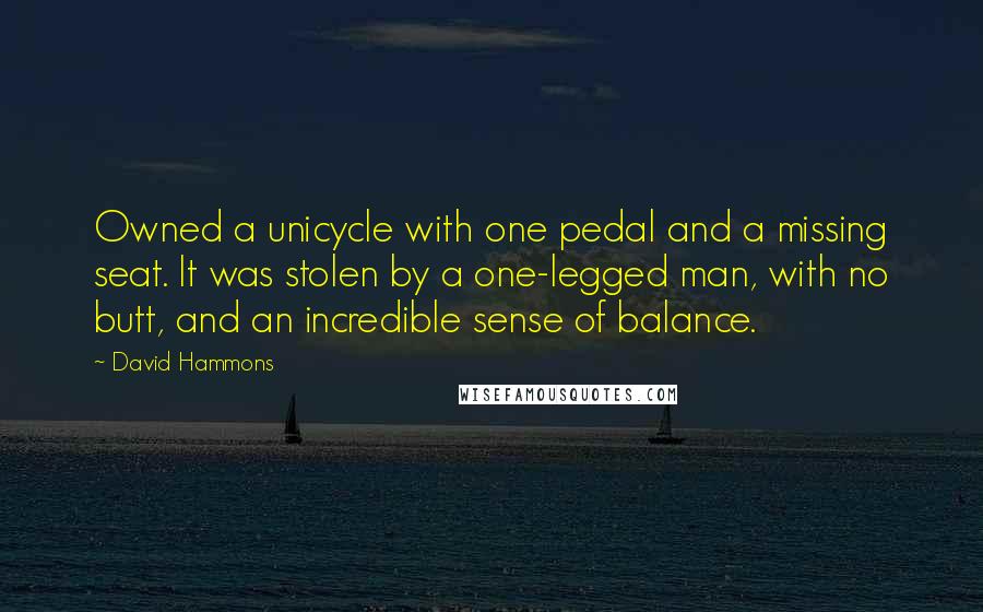 David Hammons quotes: Owned a unicycle with one pedal and a missing seat. It was stolen by a one-legged man, with no butt, and an incredible sense of balance. David Hammons quotes: Owned a unicycle with one pedal and a missing seat. It was stolen by a one-legged man, with no butt, and an incredible sense of balance.