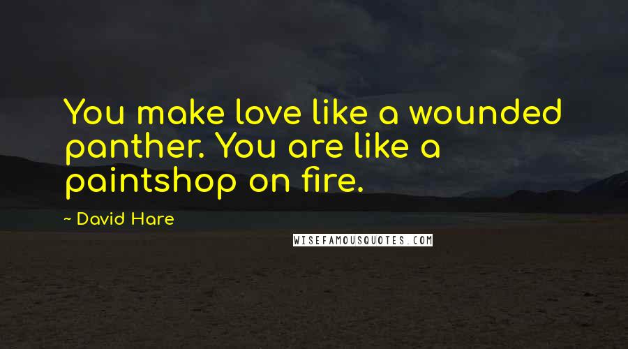 David Hare quotes: You make love like a wounded panther. You are like a paintshop on fire.
