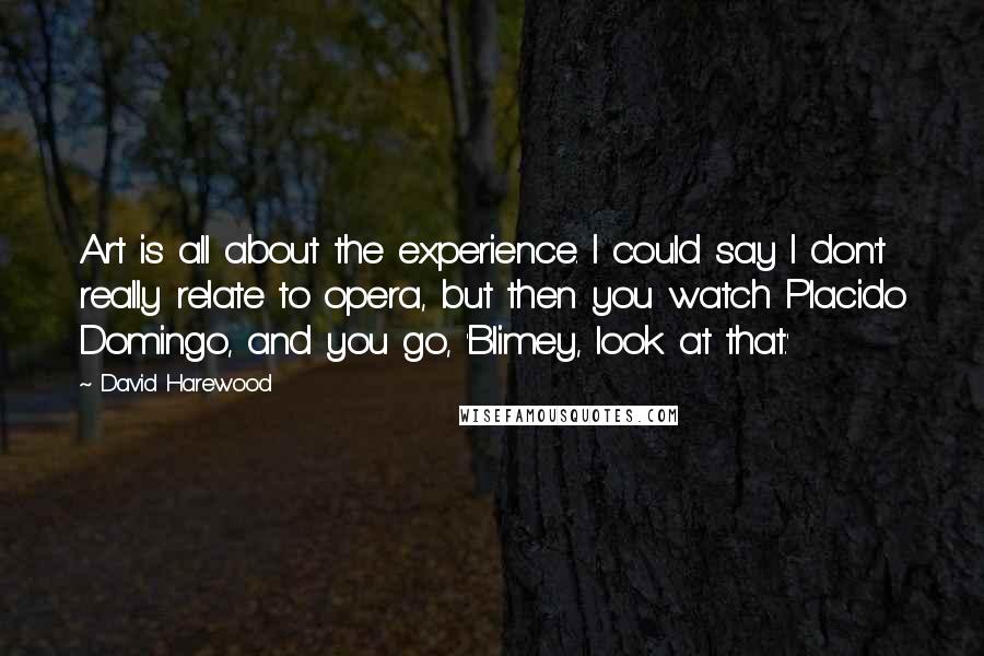 David Harewood quotes: Art is all about the experience. I could say I don't really relate to opera, but then you watch Placido Domingo, and you go, 'Blimey, look at that.'