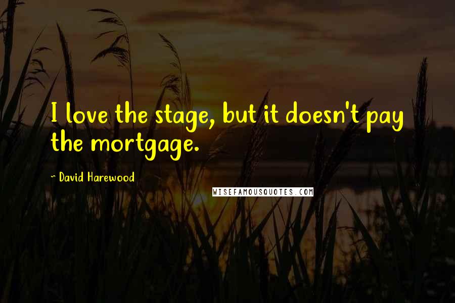 David Harewood quotes: I love the stage, but it doesn't pay the mortgage.