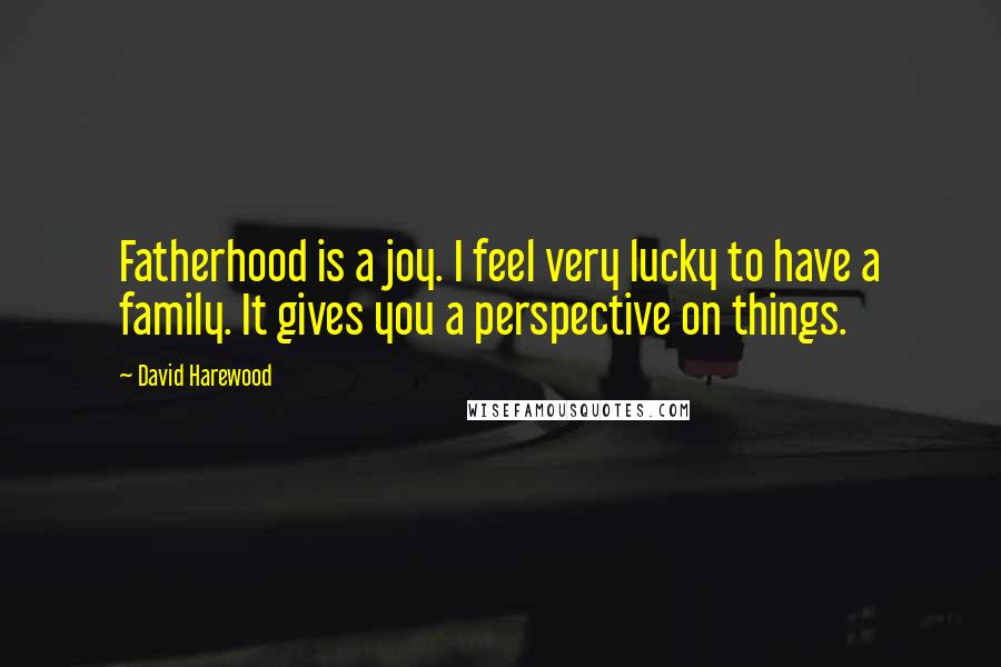 David Harewood quotes: Fatherhood is a joy. I feel very lucky to have a family. It gives you a perspective on things.