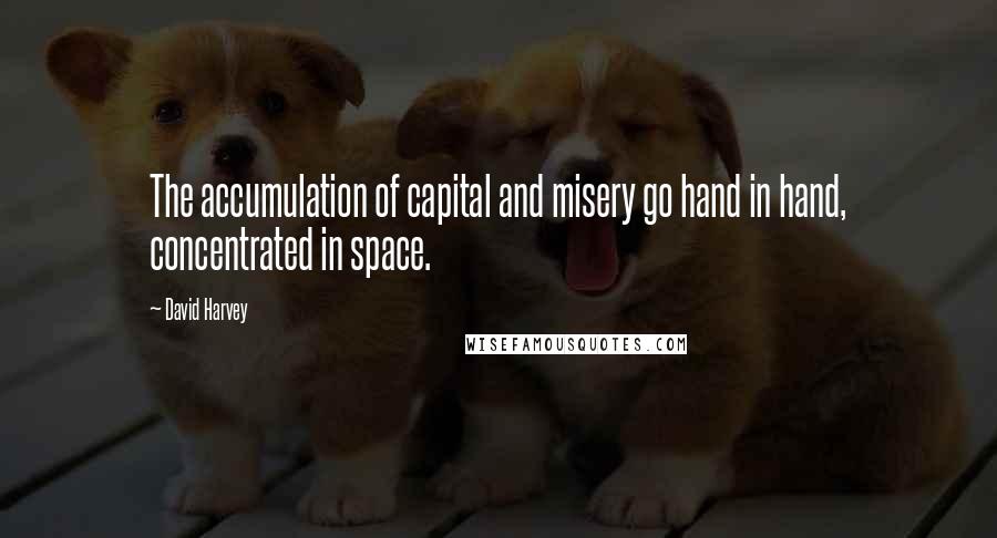 David Harvey quotes: The accumulation of capital and misery go hand in hand, concentrated in space.