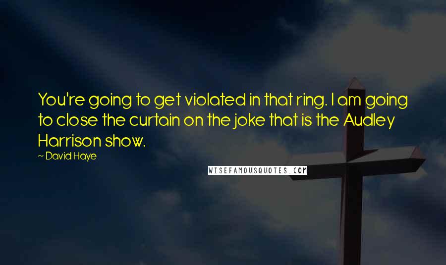 David Haye quotes: You're going to get violated in that ring. I am going to close the curtain on the joke that is the Audley Harrison show.