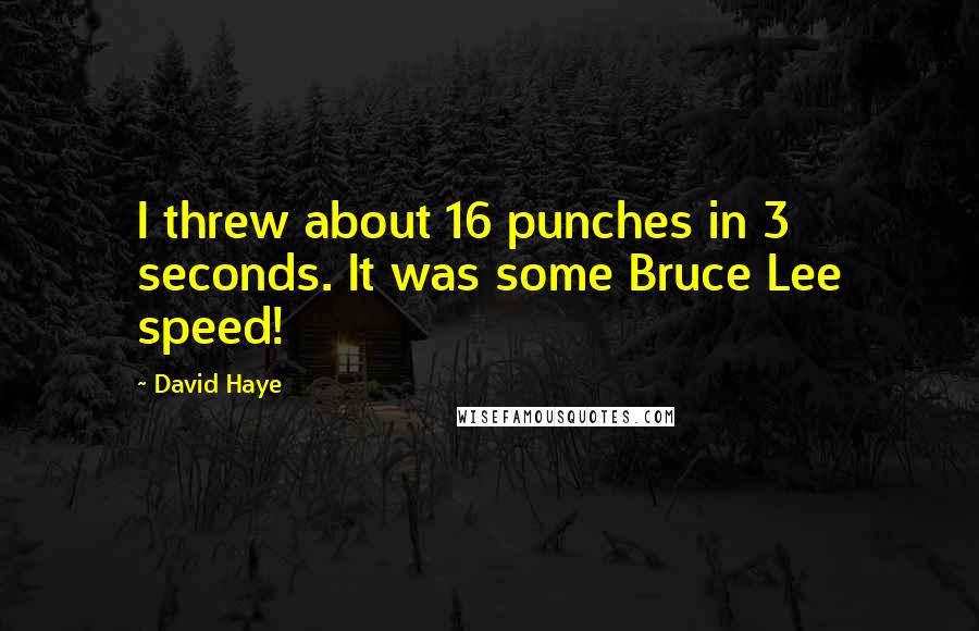 David Haye quotes: I threw about 16 punches in 3 seconds. It was some Bruce Lee speed!