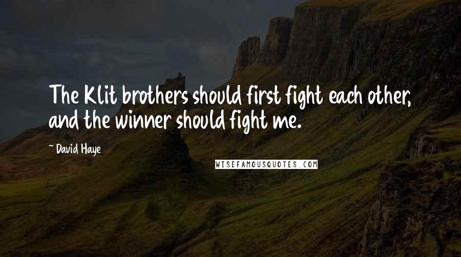 David Haye quotes: The Klit brothers should first fight each other, and the winner should fight me.