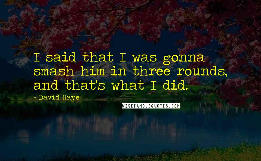 David Haye quotes: I said that I was gonna smash him in three rounds, and that's what I did.