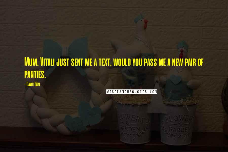 David Haye quotes: Mum, Vitali just sent me a text, would you pass me a new pair of panties.