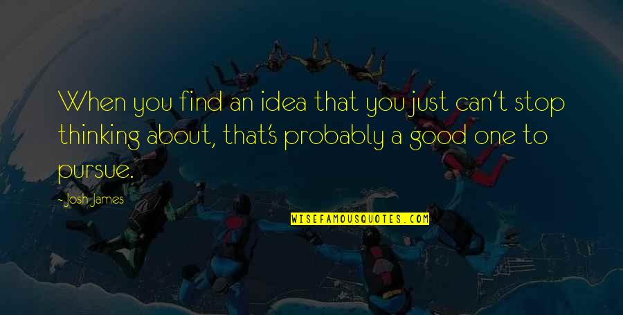 David Healy Quotes By Josh James: When you find an idea that you just