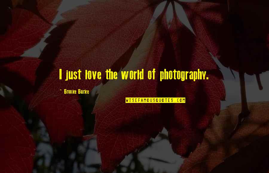 David Hearn Quotes By Brooke Burke: I just love the world of photography.