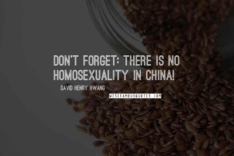 David Henry Hwang quotes: Don't forget: there is no homosexuality in China!