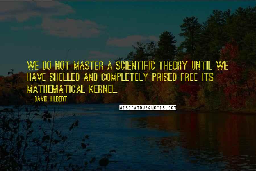 David Hilbert quotes: We do not master a scientific theory until we have shelled and completely prised free its mathematical kernel.