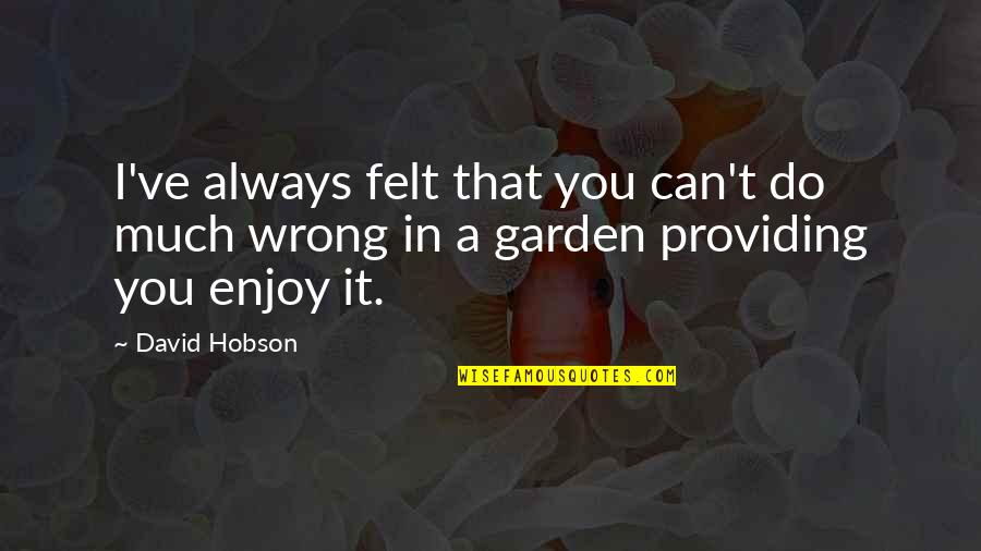 David Hobson Quotes By David Hobson: I've always felt that you can't do much