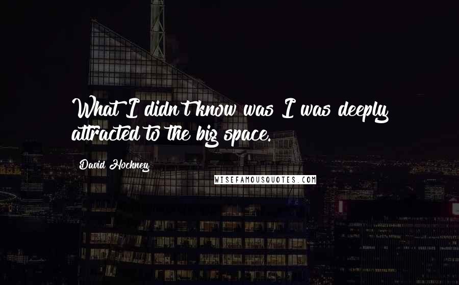 David Hockney quotes: What I didn't know was I was deeply attracted to the big space.