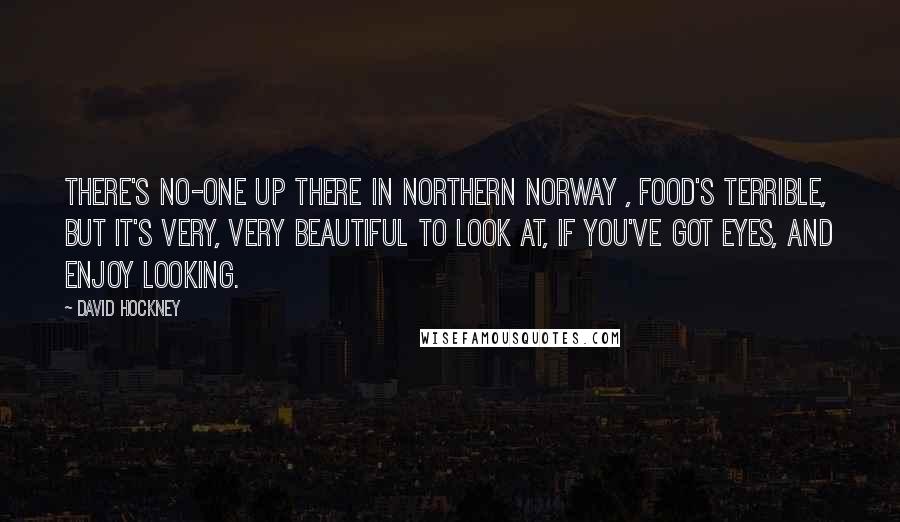 David Hockney quotes: There's no-one up there in Northern Norway , food's terrible, but it's very, very beautiful to look at, if you've got eyes, and enjoy looking.