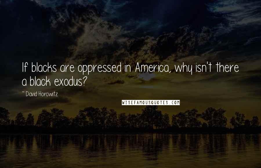 David Horowitz quotes: If blacks are oppressed in America, why isn't there a black exodus?