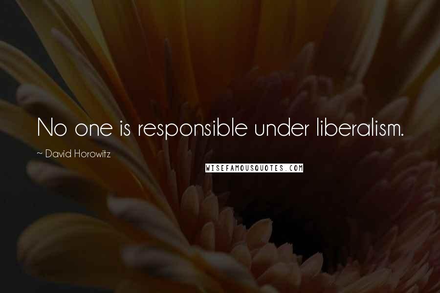 David Horowitz quotes: No one is responsible under liberalism.