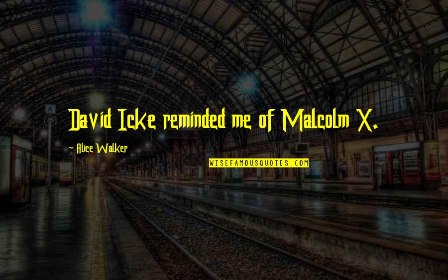 David Icke's Quotes By Alice Walker: David Icke reminded me of Malcolm X.