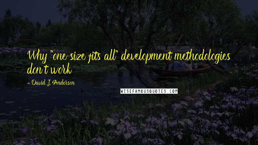 David J. Anderson quotes: Why "one size fits all" development methodologies don't work