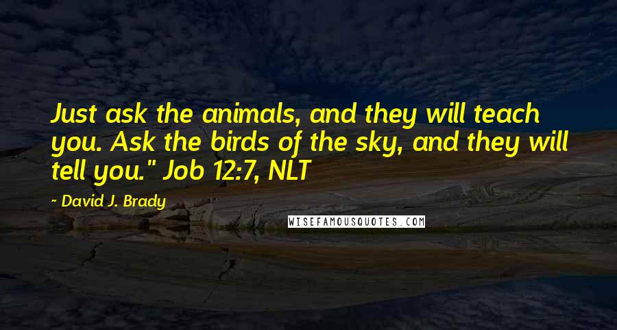David J. Brady quotes: Just ask the animals, and they will teach you. Ask the birds of the sky, and they will tell you." Job 12:7, NLT David J. Brady quotes: Just ask the animals, and they will teach you. Ask the birds of the sky, and they will tell you." Job 12:7, NLT
