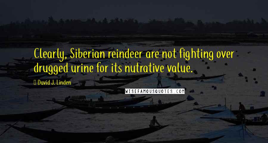 David J. Linden quotes: Clearly, Siberian reindeer are not fighting over drugged urine for its nutrative value.