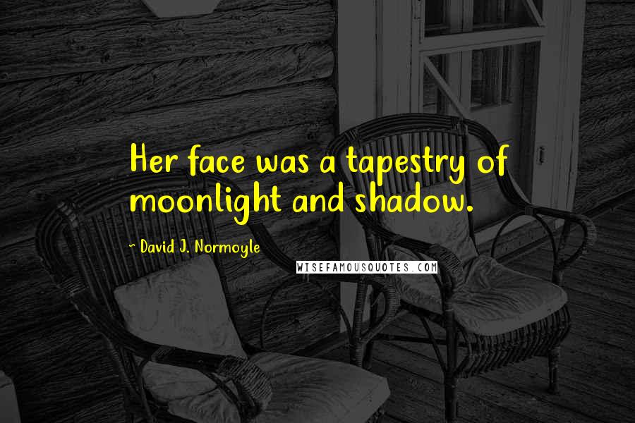 David J. Normoyle quotes: Her face was a tapestry of moonlight and shadow.