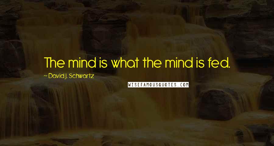 David J. Schwartz quotes: The mind is what the mind is fed.