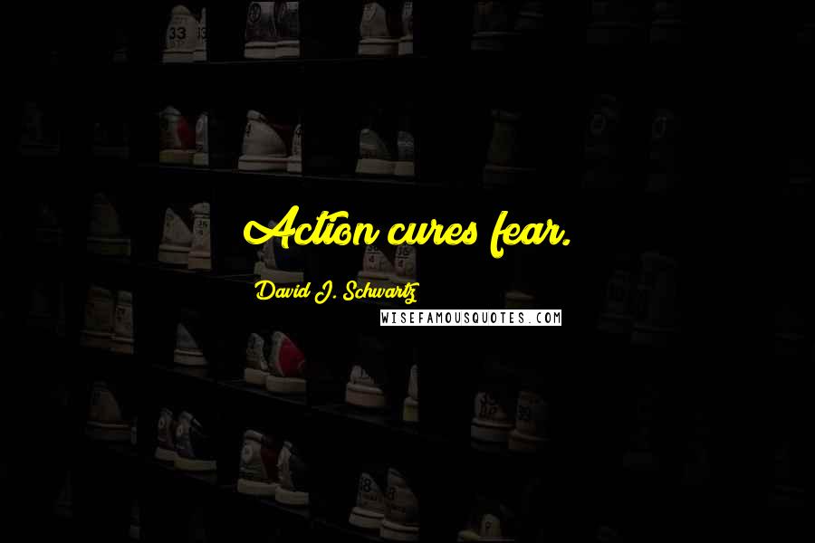 David J. Schwartz quotes: Action cures fear.
