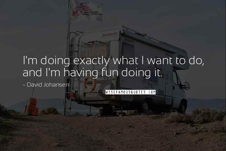 David Johansen quotes: I'm doing exactly what I want to do, and I'm having fun doing it.