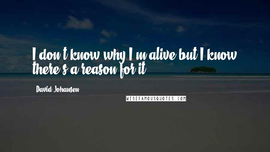 David Johansen quotes: I don't know why I'm alive but I know there's a reason for it.