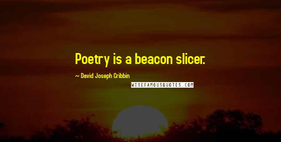 David Joseph Cribbin quotes: Poetry is a beacon slicer.
