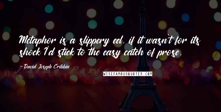 David Joseph Cribbin quotes: Metaphor is a slippery eel, if it wasn't for its shock I'd stick to the easy catch of prose.