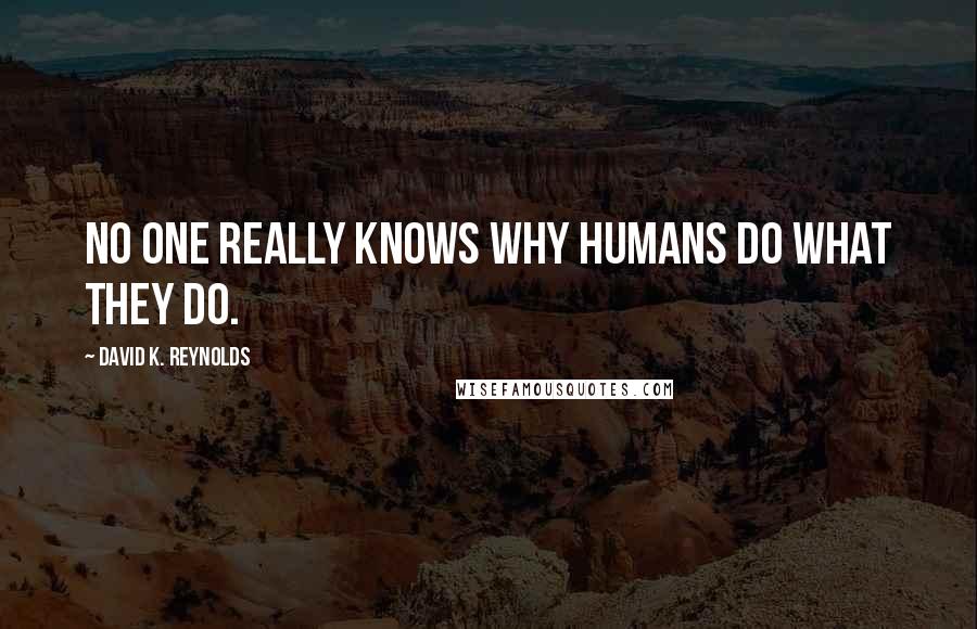 David K. Reynolds quotes: No one really knows why humans do what they do.