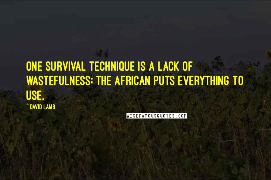 David Lamb quotes: One survival technique is a lack of wastefulness; the African puts everything to use.