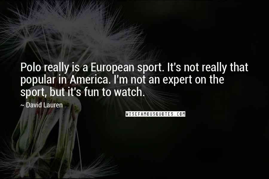 David Lauren quotes: Polo really is a European sport. It's not really that popular in America. I'm not an expert on the sport, but it's fun to watch.