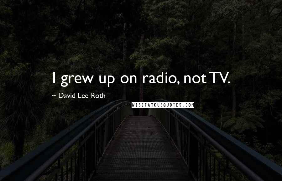 David Lee Roth quotes: I grew up on radio, not TV.