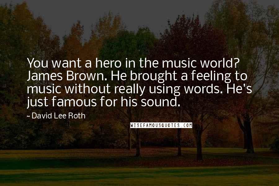 David Lee Roth quotes: You want a hero in the music world? James Brown. He brought a feeling to music without really using words. He's just famous for his sound.