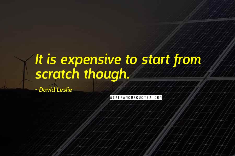 David Leslie quotes: It is expensive to start from scratch though.