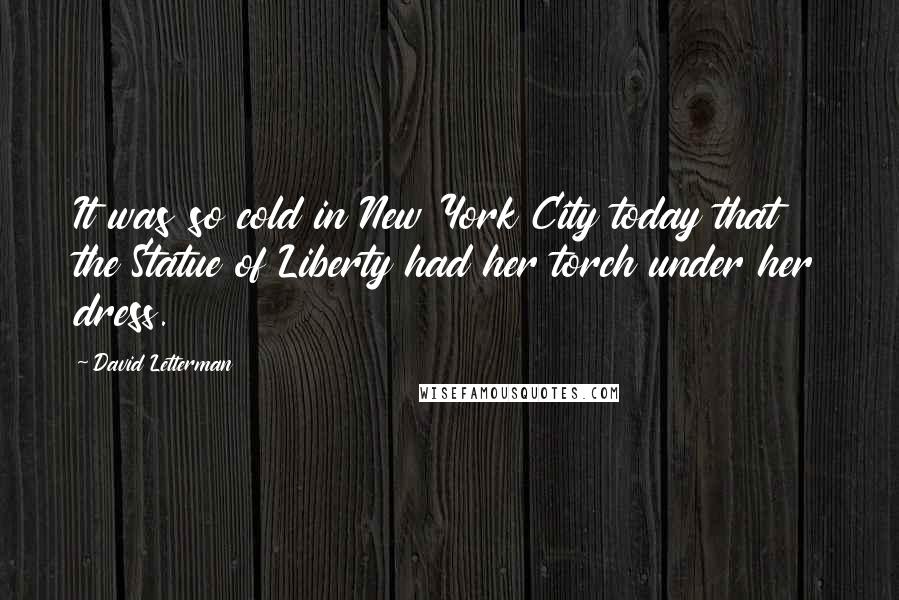 David Letterman quotes: It was so cold in New York City today that the Statue of Liberty had her torch under her dress.