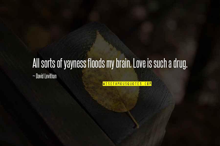 David Levithan Love Quotes By David Levithan: All sorts of yayness floods my brain. Love