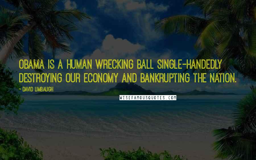 David Limbaugh quotes: Obama is a human wrecking ball single-handedly destroying our economy and bankrupting the nation.