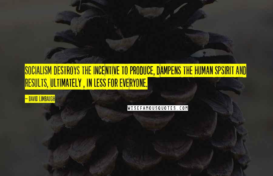 David Limbaugh quotes: Socialism destroys the incentive to produce, dampens the human spsirit and results, ultimately , in less for everyone.