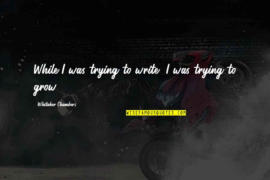 David Lindsay-abaire Quotes By Whitaker Chambers: While I was trying to write, I was David Lindsay-abaire Quotes By Whitaker Chambers: While I was trying to write, I was
