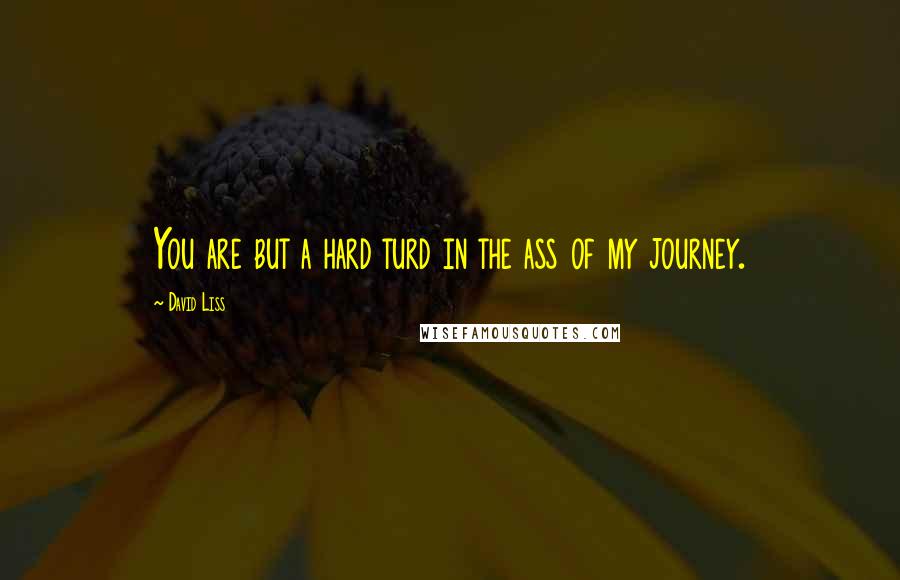 David Liss quotes: You are but a hard turd in the ass of my journey.