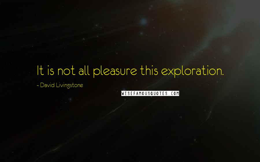 David Livingstone quotes: It is not all pleasure this exploration.