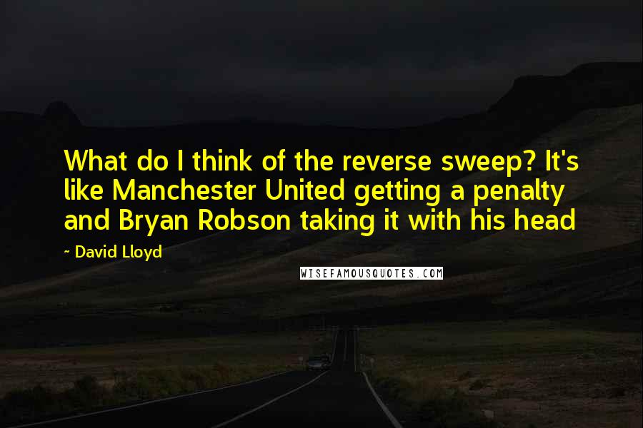 David Lloyd quotes: What do I think of the reverse sweep? It's like Manchester United getting a penalty and Bryan Robson taking it with his head