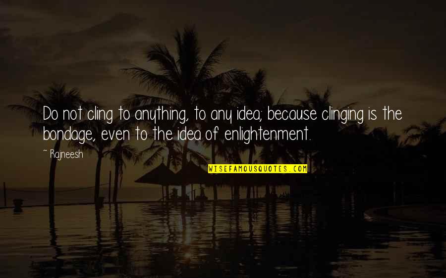David Lodge Changing Places Quotes By Rajneesh: Do not cling to anything, to any idea; David Lodge Changing Places Quotes By Rajneesh: Do not cling to anything, to any idea;